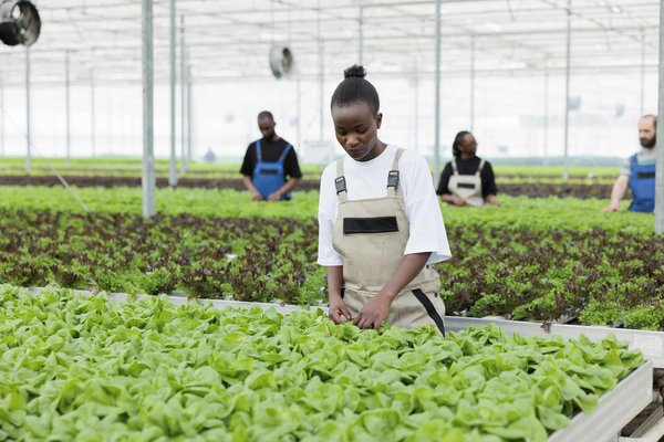 Quelles méthodes les écoles primaires peuvent-elles utiliser pour enseigner le respect de la diversité culturelle ?