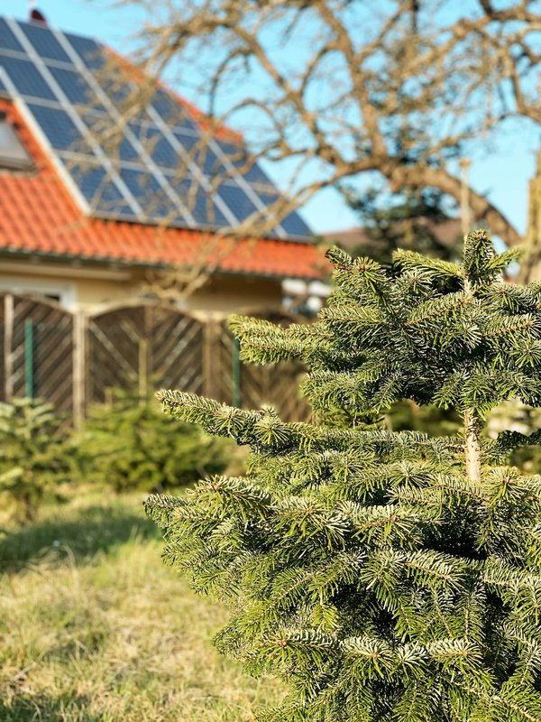 Actualité sur l'économie d'énergie : conseils pratiques à découvrir